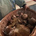 Tilia Authentic Home, Butikowe Nad Morzem