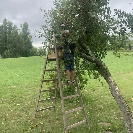 Tilia Authentic Home, Butikowe Nad Morzem Appartamento *