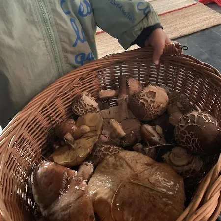 Tilia Authentic Home, Butikowe Nad Morzem