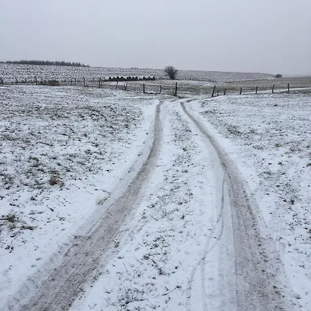 Appartamento Tilia Authentic Home, Butikowe Nad Morzem Mikoszewo