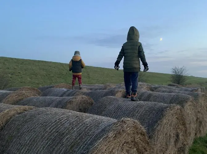 Tilia Authentic Home, Butikowe Nad Morzem Mikoszewo