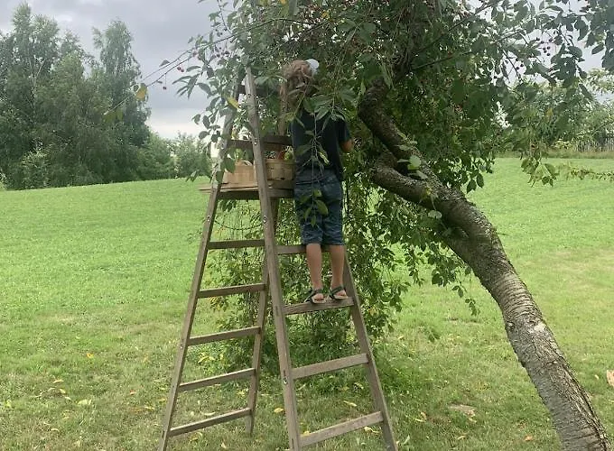 Tilia Authentic Home, Butikowe Nad Morzem Apartment *