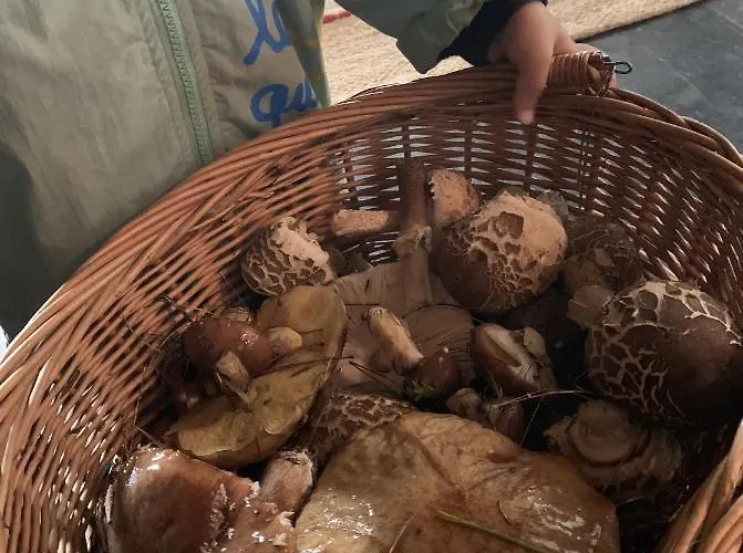 Tilia Authentic Home, Butikowe Nad Morzem