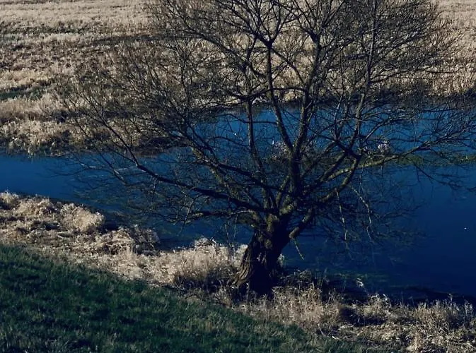 Apartment Tilia Authentic Home, Butikowe Nad Morzem *