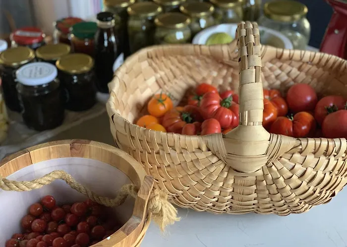 Apartment Tilia Authentic Home, Butikowe Nad Morzem Mikoszewo